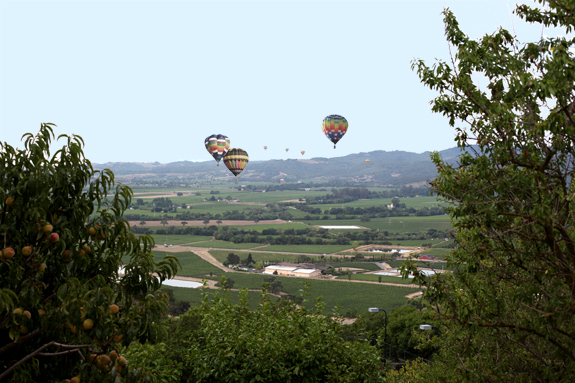 estate_034_VIEW-FROM-HUSIC-ESTATE-W-BALLOONS